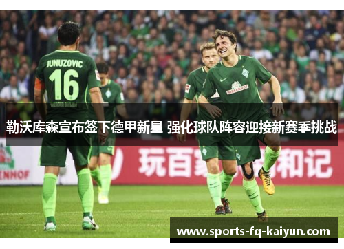 勒沃库森宣布签下德甲新星 强化球队阵容迎接新赛季挑战